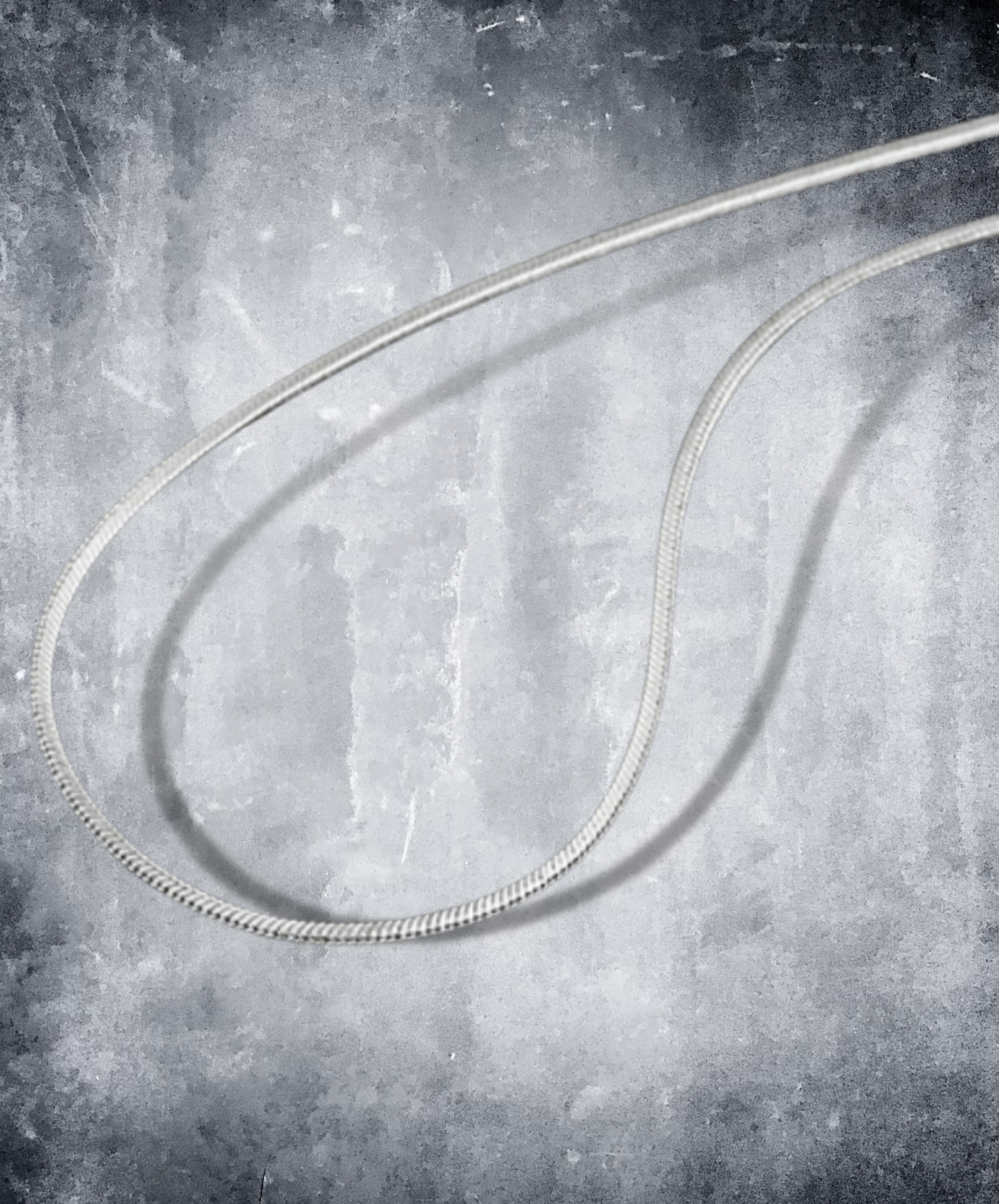 simple titanium snake bone necklace EN1593