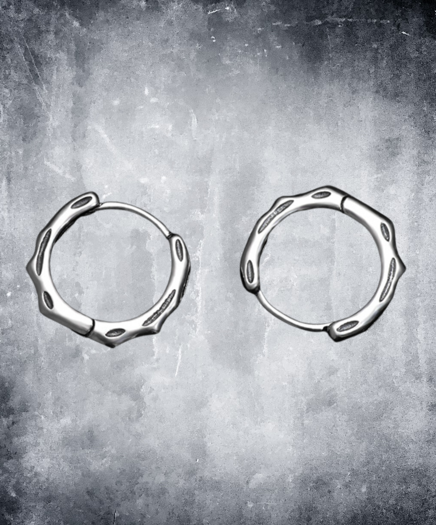 keel design silver earrings EN1618