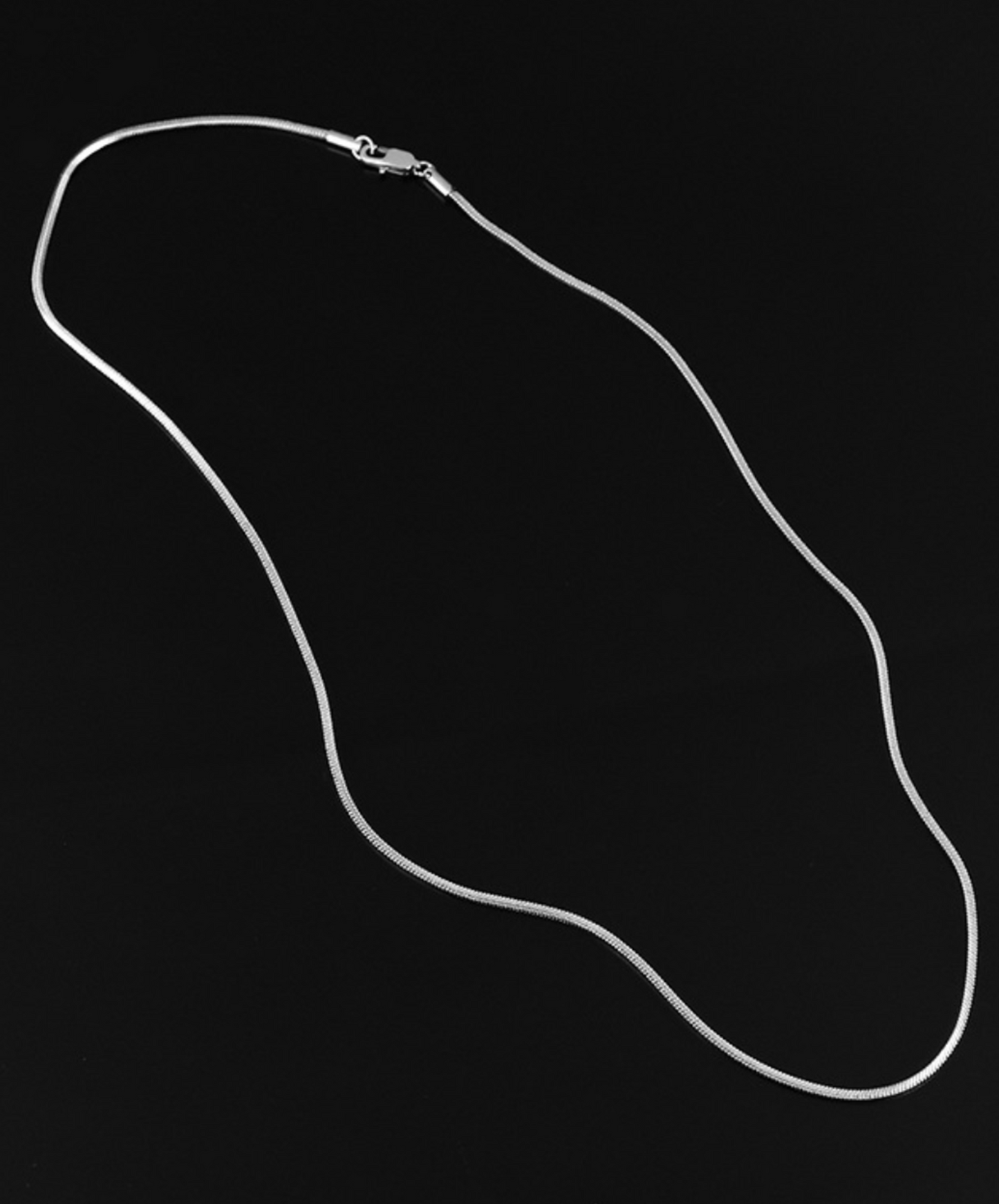 simple titanium snake bone necklace EN1593
