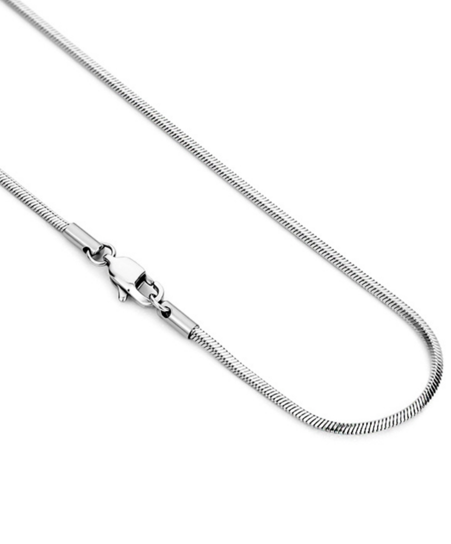 simple titanium snake bone necklace EN1593