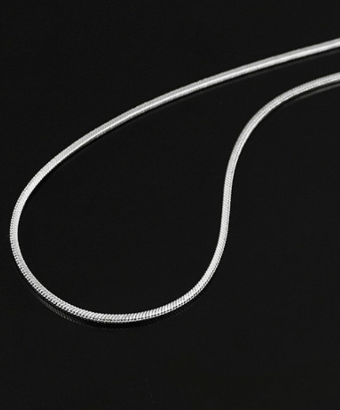 simple titanium snake bone necklace EN1593