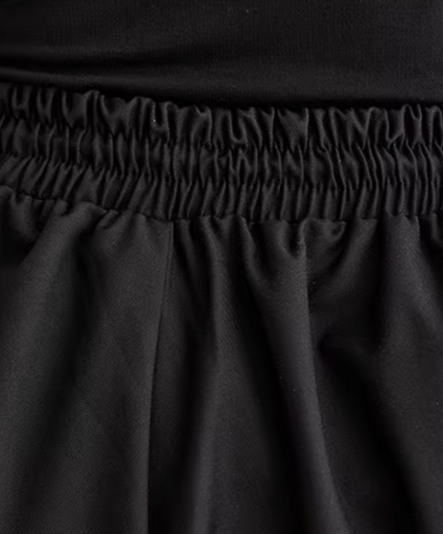dark pleated drape wide pants EN2833