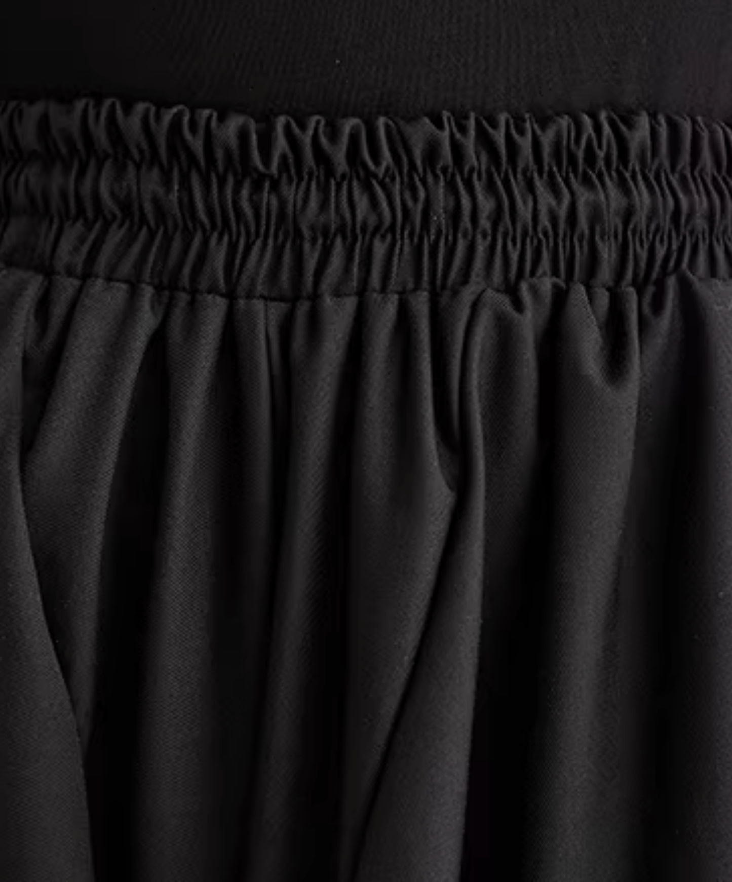 dark pleated drape wide pants EN2833