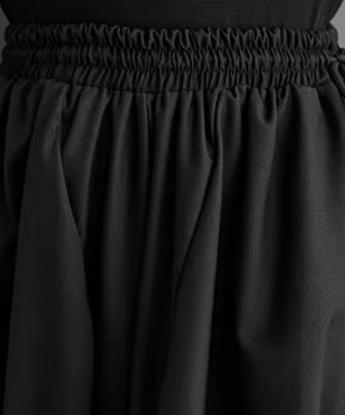 dark pleated drape wide pants EN2833