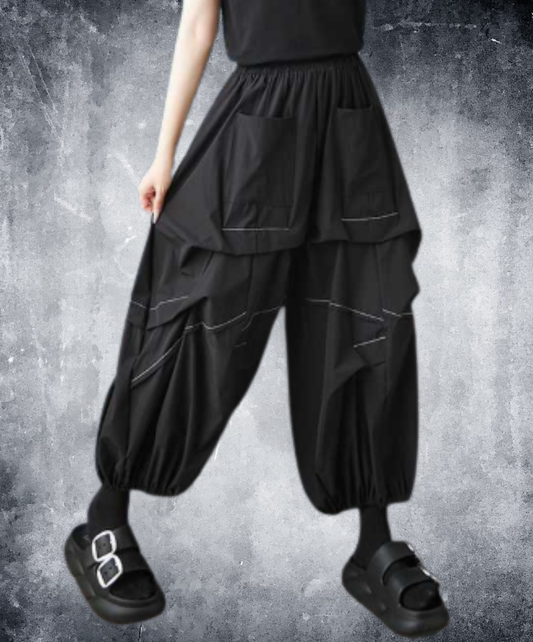 stitched balloon silhouette wide pants EN3034
