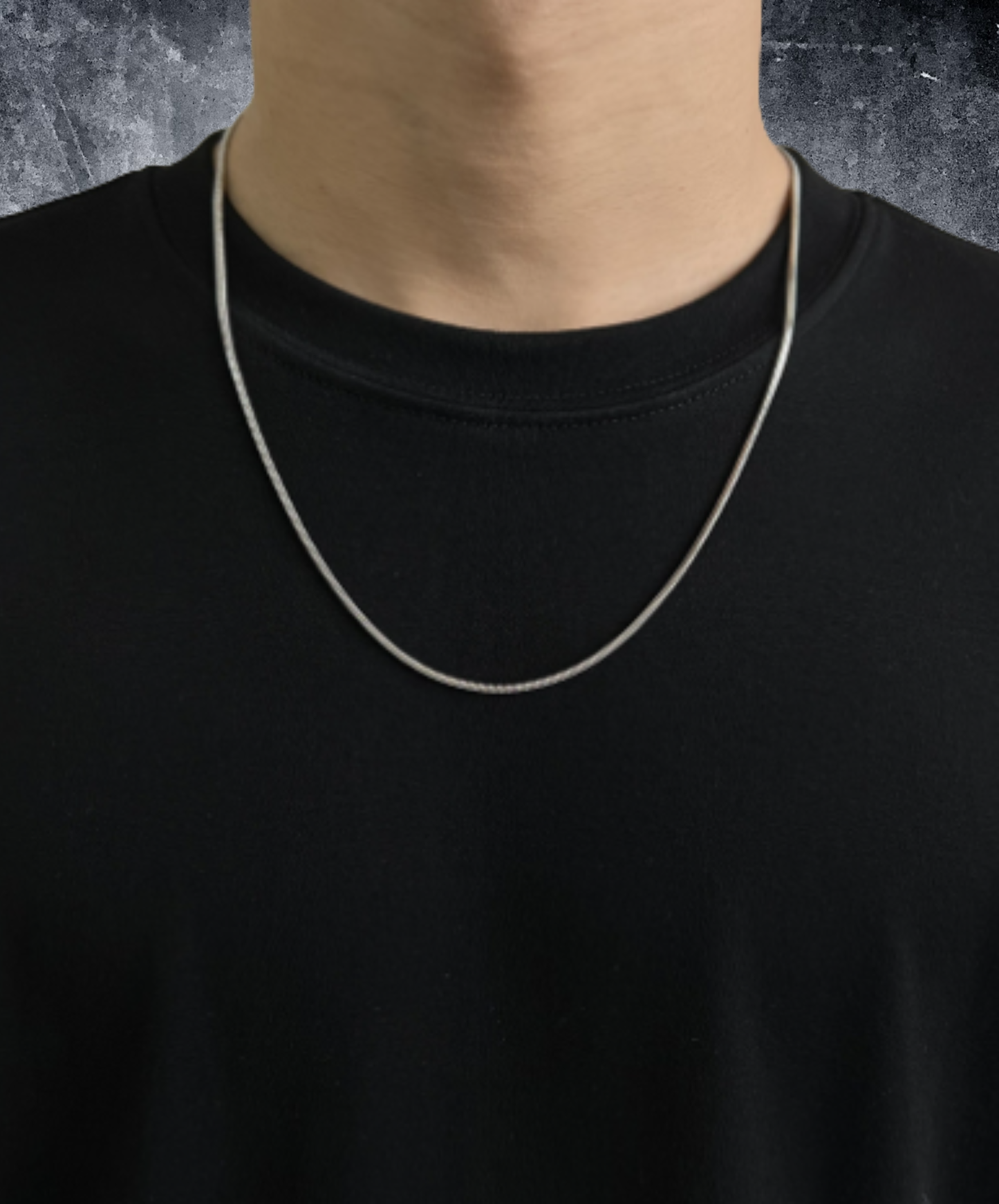 simple titanium chain necklace EN3036