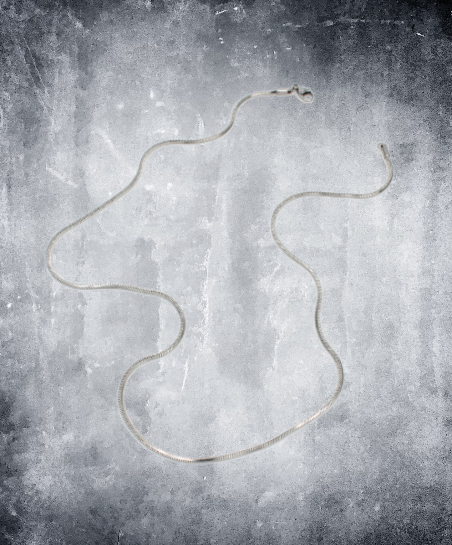 simple titanium chain necklace EN3036