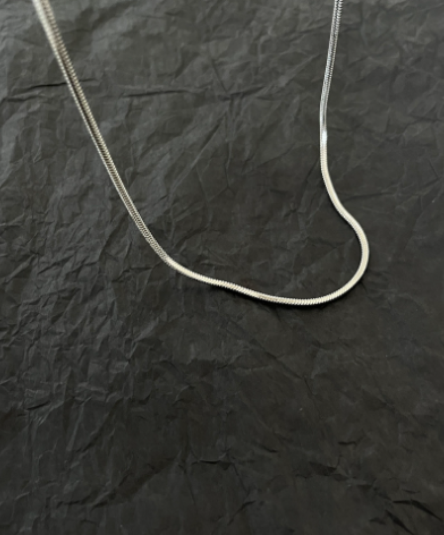 simple titanium chain necklace EN3036